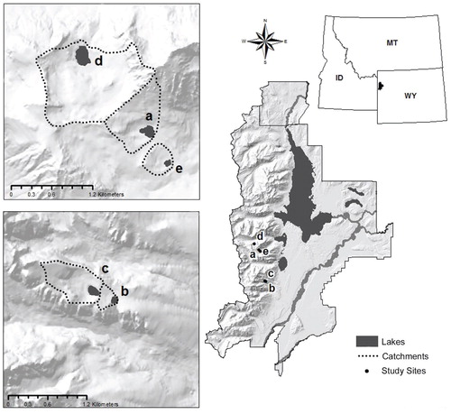 FIGURE 1. Map of Grand Teton National Park, Wyoming, showing the major park water bodies and five study lakes (a) Holly Lake, (b) Surprise Lake, (c) Amphitheater Lake, (d) Grizzly Lake, and (e) Whitebark Moraine Pond (unnamed on published maps), and their watersheds. Base map from U.S. Geological Survey digital data, NAD 1983, UTM Zone 12N.
