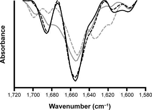 Figure 9 Fourier transform infrared spectra of insulin.Notes: Fourier transform infrared spectra of nonencapsulated reference insulin in solution (solid black line), nonencapsulated insulin in solution after 10 minutes of ultrasonication exposure (dashed black line), insulin entrapped into nanoparticles (solid grey line), and insulin entrapped into nanoparticles after 10 minutes of ultrasonication exposure (dashed grey line).