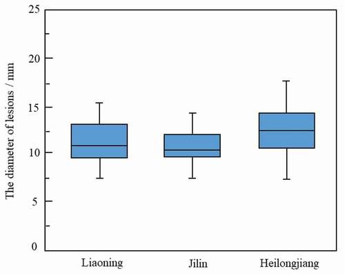 Fig. 4 Pathogenicity of Botrytis cinerea isolates from Jilin, Liaoning, and Heilongjiang provinces of China, as determined by measuring lesion diameter in pathogenicity tests.