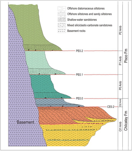Figure 2. Schematic stratigraphic section of Pisco Formation and adjacent rocks. For simplicity, erosion surfaces have been designated ‘E’ with a preceding letter indicating the relevant formation (C = Chilcatay, P = Pisco) and numbers designating successively higher stratigraphic surfaces. Accordingly, PE0.0, PE0.1, PE0.2 indicate successively younger erosion surfaces in the Pisco Formation. These three unconformities converge and merge landward into a single surface (informally referred to as PE0) representing the composite lower boundary of the Pisco Formation. The resulting allomembers (Amb) have been named for their lower bounding surface. Thus, the P0 allomember refers to strata lying between the PE0.0 unconformity and the next higher unconformity (PE0.1). The vertical scale is only indicative of thickness of sediment packages between unconformity surfaces.