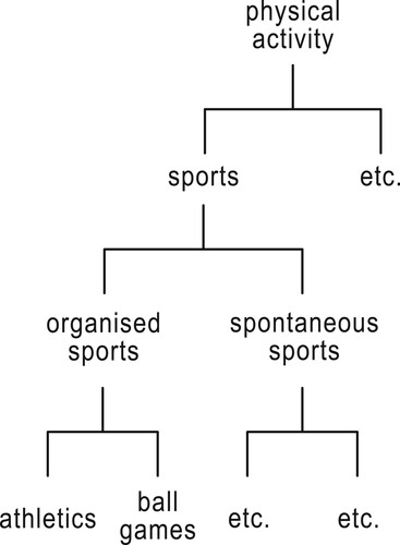 Figure 1. A constructed semantic hierarchy of the concept ‘organised sports.’