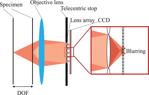 Figure 5. Schematic diagram of the DOF in IFM.