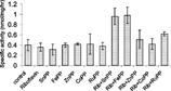 Figure 2 Effect of riboflavin and metalloporphyrins on ALA-S activity in liver in the presence of white light. Adult Wistar rats were administered riboflavin (10 mg/kg bw) and metalloporphyrins.