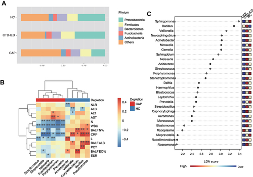 Figure 2 Taxonomic analysis of the lower respiratory tract microbiome. (A) The relative abundance of microbial communities at the phylum level among groups. (B) Spearman’s rho calculated between ASVs and clinical indicators. (C) Linear discriminant analysis of effect size (LEfSe) of ASVs enriched in each group. Enrichment in different groups indicated by the colored bar along the left of the heatmap. Black stars within heatmap boxes indicate significant results (* P≤0.05, ** P≤0.01), Benjamini–Hochberg adjustment for multiple comparisons. ASV abundances were centered with log-ratio transformation prior to analysis.