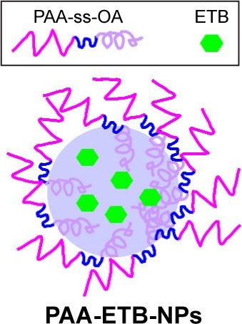 Figure 2 Scheme graph of PAA-ETB-NPs.