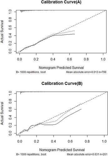 Figure 4 Calibration curve of the nomogram for the training set (A) and the validation set (B). Logistic regression algorithm was used to establish nomogram. The X-axis represents the overall predicted probability of AKI after orthopedic surgery in elderly patients. and the Y-axis represents the actual probability. Model calibration is indicated by the degree of fitting of the curve and the diagonal.