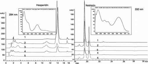 Figure 3 HPLC profiles of citrus extracts at dual wavelength: 284 nm and 332 nm. 332 nm profiles followed 284 nm profiles from 18.0 min. 1: hesperidin and nobiletin mixed standard solution, 2: dried citrus peel, 3: FGRE, 4: ECPE, 5: PCPE; The 2 insets are DAD UV scan of hesperidin and nobiletin peak (190 ∼ 400 nm).
