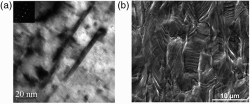 Figure 4. (a) TEM multi-beam bight field image of a deformed specimen showing the presence of twins in the CG material. (b) SEM surface micrograph showing the slip traces in the FG material after deformation to failure.