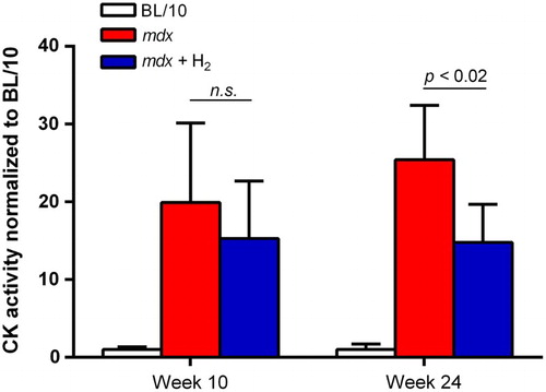 Figure 2 CK activity in plasma. CK activities are measured at ages 10 (n = 6) and 24 (n = 4–6) weeks. CK activities of untreated mdx mice (mdx), and hydrogen-treated mdx mice (mdx + H2) are normalized for that of wild-type BL/10 mice. Mean and SD are indicated. Statistical difference is observed between mdx and mdx + H2 at age 24 weeks with Student t-test.