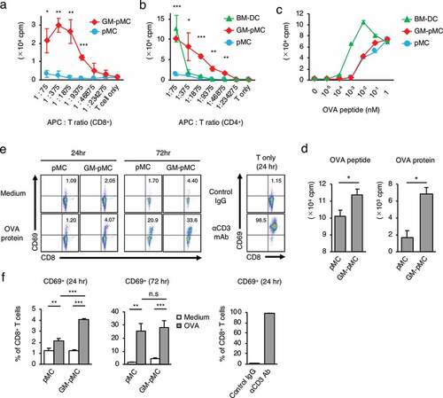 Figure 2. GM-pMCs efficiently stimulate antigen-specific CD8+ T cells.