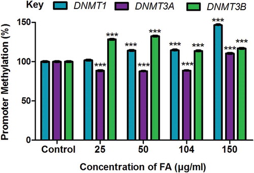 Figure 3. The effect of FA on the promoter methylation of DNMT1, DNMT3A, and DNMT3B in HepG2 cells. DNA isolated from control and FA-treated HepG2 cells were assayed for DNMT promoter methylation using the OneStep qMethyl Kit. Fusaric acid induced promoter hypermethylation of DNMT1 and DNMT3B, and altered promoter methylation of DNMT3A in HepG2 cells. Results are represented as mean fold-change ± SD (n = 3). Statistical significance was determined by one-way ANOVA with the Bonferroni multiple comparisons test (***p < 0.0001).