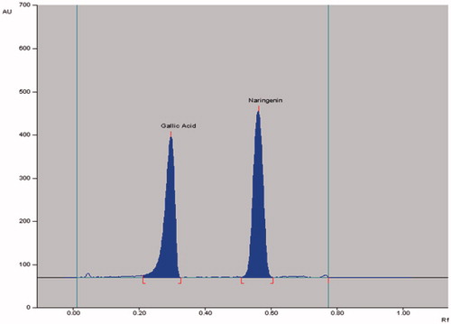 Figure 4. Chromatogram of biomarkers gallic acid (Rf = 0.28; 600 ng/spot) and naringenin (Rf = 0.55; 600 ng/spot) at 275 nm; mobile phase, toluene:ethyl acetate:formic acid (6:4:0.8, v/v/v).