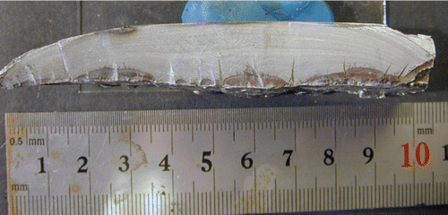 Figure 9. Crack surface of a steel plate, with a fillet weld on the lower side. The dark areas indicate a 2 mm deep hydrogen crack after fabrication, which was the initiation line of the fatigue crack.