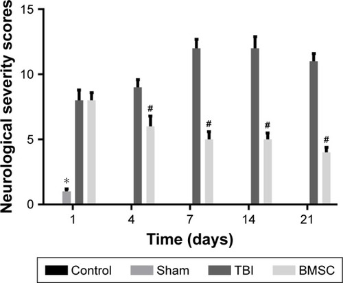 Figure 1 BMSCs transplantation promoted recovery of neurological function in mice after TBI. The extent of neurological impairment in control, sham, TBI, and BMSC groups was assessed by a standardized neurological severity score (NSS) at defined time intervals after trauma (t=1, 4, 7, 14, and 21 days). *P<0.05: Sham vs TBI, #P<0.05: BMSC vs TBI.