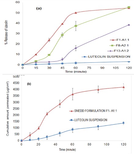 Figure 9. In vitro release profiles across regenerated cellulose dialysis bag (% release ± SD, n = 3) (a) and ex vivo permeation profiles across non-everted rat sacs (µg/cm2 ± SD, n = 3) of luteolin from luteolin suspensions and luteolin-SNEDDS.