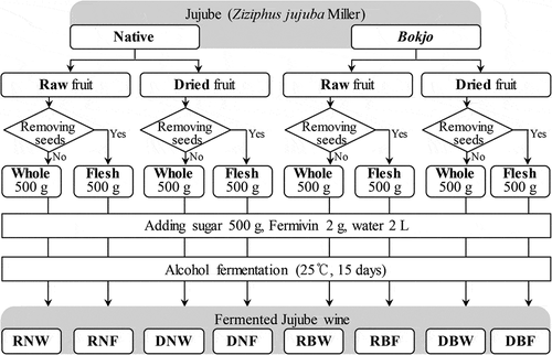 Figure 1. Experimental work progress for jujube wine production. Each sample are presented as RNW (fresh native whole), RNF (fresh native flesh), DNW (dried native whole), DNF (dried native flesh), RBW (fresh Bokjo whole), RBF (fresh Bokjo flesh), DBW (dried Bokjo whole), and DBF (dried Bokjo flesh), respectively.