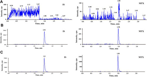 Figure 2 Typical MRM chromatograms of methotrexate and IS: (A) blank plasma sample; (B) blank plasma sample spiked with methotrexate at 5 ng/mL and IS at 100 ng/mL; and (C) real sample at 72 h after the start of MTX infusion.