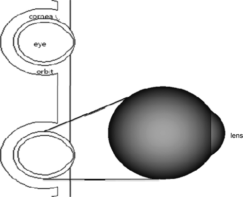 Figure 1. Anatomical position and constitution of the Phantom.