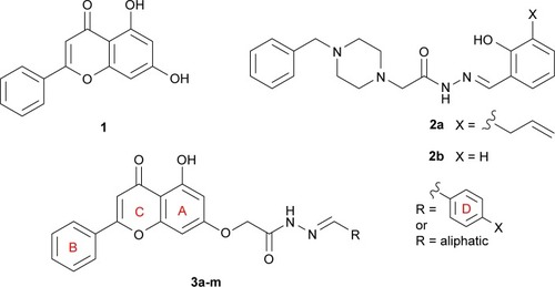 Figure 1 Chemical structures of chrysin (1), PAC-1 (2a), De-allyl PAC-1 (2b), and hybrid structure of 1 and 2 (3a-m).