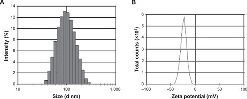 Figure 1 The particle size distribution and zeta potential of DOX/Cur-NPs.Notes: (A) Particle size distribution and (B) zeta potential.Abbreviations: d, diameter; DOX/Cur-NPs, doxorubicin and curcumin codelivery lipid nanoparticles.