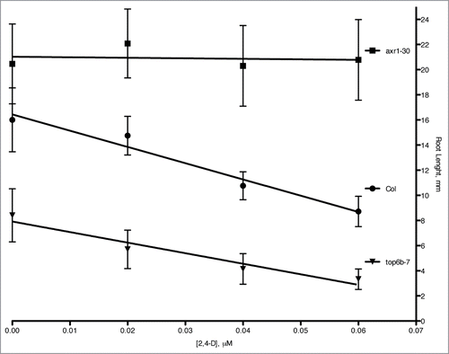 Figure 4. Root growth inhibition in top6b-7 mutants with auxin treatment. Seeds were plated and grown on solid GM agar plates supplemented with the indicated concentration of 2,4-D for 7 d at 20°C with continuous lighting. The results are the combined data from three independent experiments. Values are mean ± 1 SD 59 ≤ n ≤ 68. The equations for linear regression are: y = −4.11(x) + 21.02, R2 = 0.0172; y = −129.32(x) + 16.44, R2 = 0.964; y = −83.98(x) + 7.91, R2 = 0.940 for axr1–30, Col, and top6b-7, respectively.