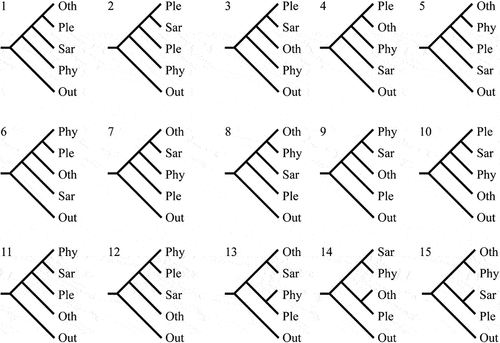 Figure 2. Fifteen alternative topologies of Agaricales. Out, outgroup and basal clades of Agaricales (including Hygrophorineae, Typhulaceae, Clavariineae, and outgroups); Phy, Phyllotopsidineae; Sar, Sarcomyxineae; Ple, Pleurotineae; Oth, other clades in Agaricales (including Agaricineae, Pluteineae, Tricholomatineae, Marasmiineae, and Schizophyllineae).