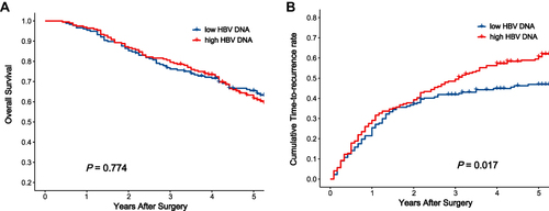 Figure 3 Curves comparisons of survival (A) and recurrence (B) between two groups in the non-AVT cohort (calculated by Log rank test).