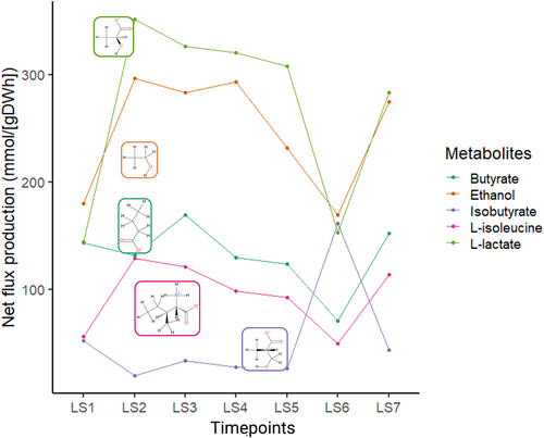 Figure 4. Metabolites net flux variation.