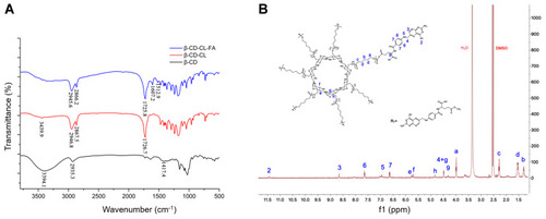 Figure 1 Characterization of copolymers. (A) FT-IR spectra of β-CD, β-CD-CL, and β-CD-CL-FA, (B) 1H-NMR spectra of β-CD-CL-FA.