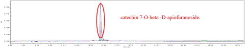 Figure 3. HPLC chromatogram of catechin 7-O-beta-D-apiofuranoside.