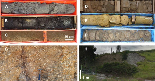 Figure 4. Borehole cores and outcrops of the Quaternary sediments identified in the studied area: (A) estuary deposit; (B) marsh deposit; (C) shore deposit; (D) alluvial deposit; (E) elluvial deposit; (F) Flat raised surfaces deposit; (G) colluvial deposit; (H) blast furnace slag heap.