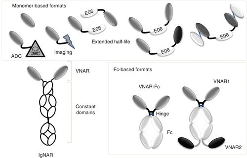 Figure 3. Schematic representation of VNAR formats showing different re-formatting options for VNAR domains.