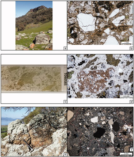 Figure 12. Budginigi Ignimbrite southeast of the Great Yambla Range. (a) Crystal-rich ignimbrite in the foreground and Upper Devonian red beds in the background. The unconformity lies approximately across the middle of the image. Site ERIVKFB0303a. (b) Photomicrograph of crystal-rich, pumice-bearing ignimbrite. Fluidal-shaped, chloritic clast in centre is a pumice clast (p). Chlorite-altered biotite (B) are at the top of the image. Thin-section T090580. (c) An image taken of thin-section T090585 shows the curvilinear margins to the chloritic clasts, suggesting they are quench-fragmented formerly glassy clasts. The thin-section is 2.5 cm wide (vertical image dimension). (d) The plane light image of hyaloclastite breccia with Fe-oxide-altered welded crystal ignimbrite clast (cl). Chloritic fragments have curvilinear margins indicating they have been quench-fragmented. Porphyritic clasts are visible at the bottom and left sides of the image, and crystals are also present in the matrix. Thin-section T090585. (e, f) Budginigi Ignimbrite at Budginigi hills. (e) Shallow-dipping joints in the ignimbrite likely reflect bedding. Hammer is ∼50 cm long. Site ERIVKFB0282b. (f) Budginigi Ignimbrite in cross-polarised light. Porphyritic rhyolite clasts are outlined in red lines; matrix crystals of quartz, feldspar, biotite and opaque minerals are angular and poorly sorted. The scale bar is 2 mm. Thin-section ERIVLMC0271_1X_2_XP.