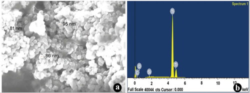 Figure 3. (a) FESEM images of synthesised nanotitania catalysts using rhizome extracts of G. superba confirming the spherical shaped nanocrystals. (b) Energy dispersive X-ray (EDX) spectrum of TiO2 NPs displayed the strong striking of titanium ions.