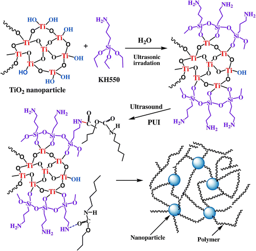 Figure 9 Mechanism illustration of the ultrasonic-induced reaction in the PUI formed on the NPs.