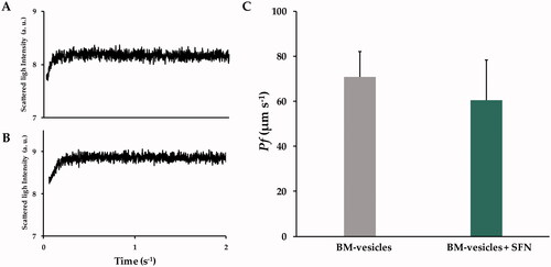Figure 3. Stopped-flow analysis. Typical traces obtained from stopped-flow spectroscopy after hyperosmotic shock, the signals are shown are representative of ten traces obtained from Broccoli membrane (BM)-vesicles (A), and BM-vesicles with sulforaphane (SFN) (B). Water permeability coefficients (Pf) of BM-vesicles and BM-vesicles with SFN (C). Data are mean ± SE of three independent experiments with at least 10 traces.