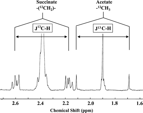 Figure 4.  1H NMR spectrum of resting cells of F. succinogenes S85 metabolizing [1-13C]glucose. Signals due to protons attached to C2 of acetate and succinate are shown on the spectrum. Those attached to 12C are present in the centre of multiplets, while 13C-linked proton signals are split with a one bond coupling constant 1J13C-1H giving rise to 13C satellites, allowing quantification of the 13C/12C ratios.