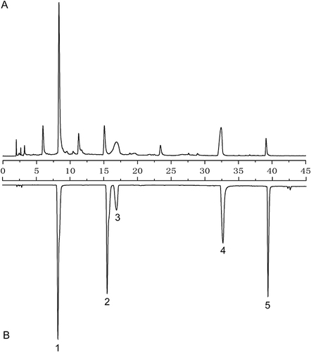 Figure 1 Image contrast diagram of PC alcohol extract and mixed standard. (A) HPLC chromatogram of alcohol extract of PC. (B) HPLC chromatogram of mixed standard. 1 polydatin, 2 resveratrol, 3 emodin-8-o-β-D-glucoside, 4 emodin, 5 physcion.