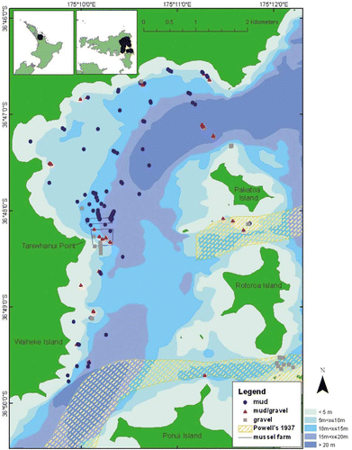 Fig. 1  Site distribution and associated substratum type [hatched area depicts Tawera+Purpurocardia formation of Powell (Citation1937)]; insets: North Island, New Zealand; and Waiheke Island, Hauraki Gulf.