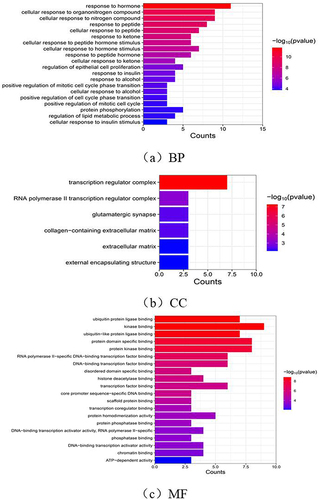 Figure 6 (a–c) GO enrichment analysis of Danbie Capsules in endometriosis treatment. In the BP (a), CC (b), and MF (c) columns, the horizontal axis indicates the proportion of genes enriched in each item, and the color indicates the enrichment degree based on P-values (log10 conversion).