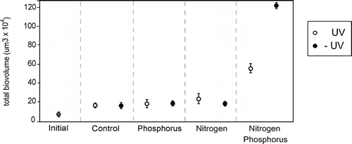 FIGURE 4. Total phytoplankton biovolume measurements (with standard error estimates indicated) from the field experiment in which nutrients and UV exposure were manipulated in a factorial design. The UV treatments consisted of +UV or −UV and are indicated in the legend. Nutrient treatments are indicated on the x-axes, with the control representing no nutrient additions