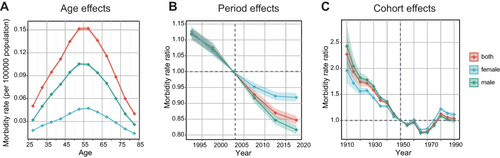 Figure 9 Age, period, and cohort effects on urolithiasis incidence. (A) The fitted longitudinal age curves of incidence (per 100,000 person-years) adjusted for period deviations showed age effects on urolithiasis. (B) Period effects were shown by incidence rate ratio and computed as the ratio of age-specific rates from 1990 to 2019. (C) Cohort effects were presented by the relative incidence risk and computed as the ratio of age-specific rates from the 1910 cohort to the 1990 cohort. The dots and shaded areas denote incidence rates or rate ratios and their corresponding 95% UIs.