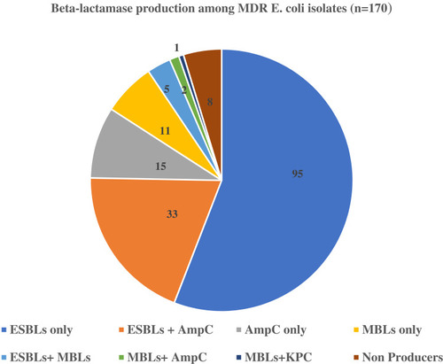 Figure 1 Distribution of different β-lactamases among MDR E. coli isolates.