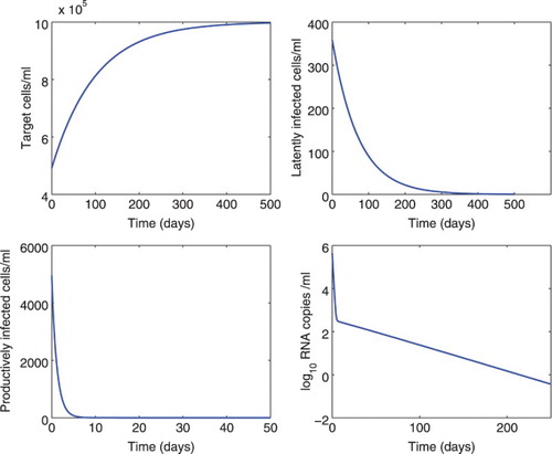 Figure 2. Numerical simulation of model (Equation1(1) dTdt=s−dTT−βVT,dLdt=fβV(t−τ1)T(t−τ1)e−δ1τ1−δLL−αL,dIdt=(1−f)βV(t−τ2)T(t−τ2)e−δ1τ2−δI+αL,dVdt=NδI−cV.(1) ) under treatment. The infection rate β was assumed to be reduced by 90%. The initial conditions were assumed to be the steady states of the model before treatment (see Figure 1). All the other parameter values are the same as those listed in Table 1.