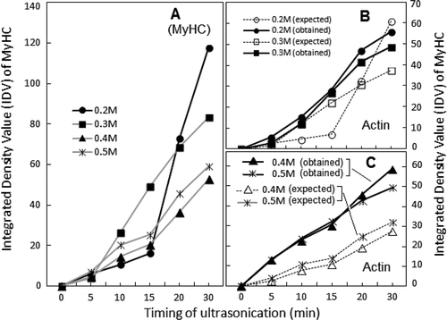 FIGURE 4 Comparison of the effect of ultrasonication on solubility profiles of MyHC (a) and actin (b and c) in supernatants at various dilutions of sonicated AM. IDVs are plotted after conversion to percent of respective controls (unsonicated AM dilutions; ±2–10%).