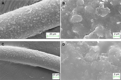 Figure 6 Scanning electron micrographs of ZB-1 (A, B) and Atenolol-fiber complexes (C, D) with different amplified times.