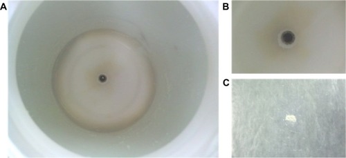 Figure 2 Nano-AMT · HCl deposition in the electrical precipitator.Notes: (A) Nano-AMT · HCl deposition in the electrical precipitator. (B) The center negative electrode. (C) Samples collected from the electrical precipitator.Abbreviation: AMT · HCl, amitriptyline hydrochloride.