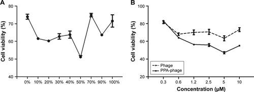 Figure S3 Effects of PPA-JM-phage with different-percentage conjugation on cell viability in Candida albicans.Notes: (A) Effects of PPA-JM-phage on growth inhibition in C. albicans cells by CCK-8 assay. Cells were treated with different-percentage conjugations of PPA on JM-phage. (B) Cells treated with different concentrations of PPA on JM-phage. All experiments were repeated three times.Abbreviations: CCK-8, cell counting kit-8; PPA, pheophorbide A.