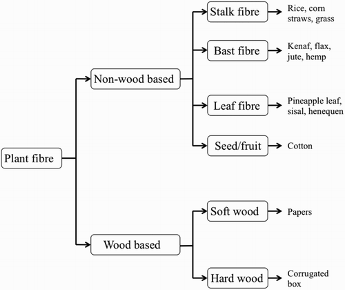 Figure 2. Classification of plant fibres and some exemplary (fibrous) products. Adapted from Mohanty et al. [Citation36].