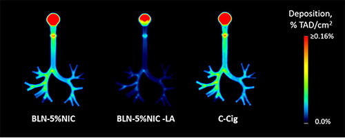 Figure 7. The average coronal projection images of nicotine retention in the respiratory tract cast at 37 °C and 100% relative humidity (RH), expressed as a fraction of the total administered dose (%TAD). The numbers of independent experiments are the following: BLN-5%NIC n = 15, BLN-5%NIC-LA n = 8, and C-cig n = 8.